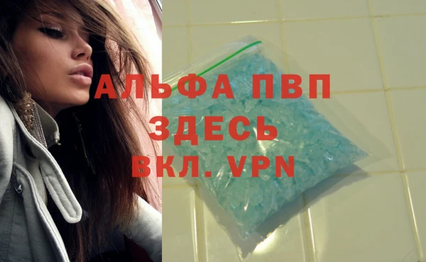 дмт Кукмор