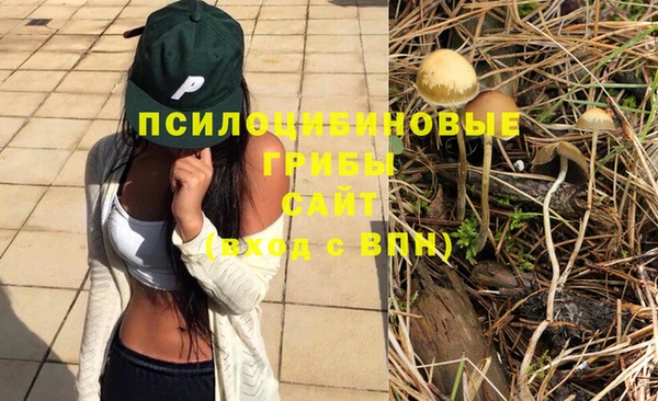 дмт Кукмор