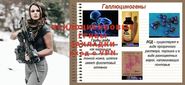 дмт Кукмор