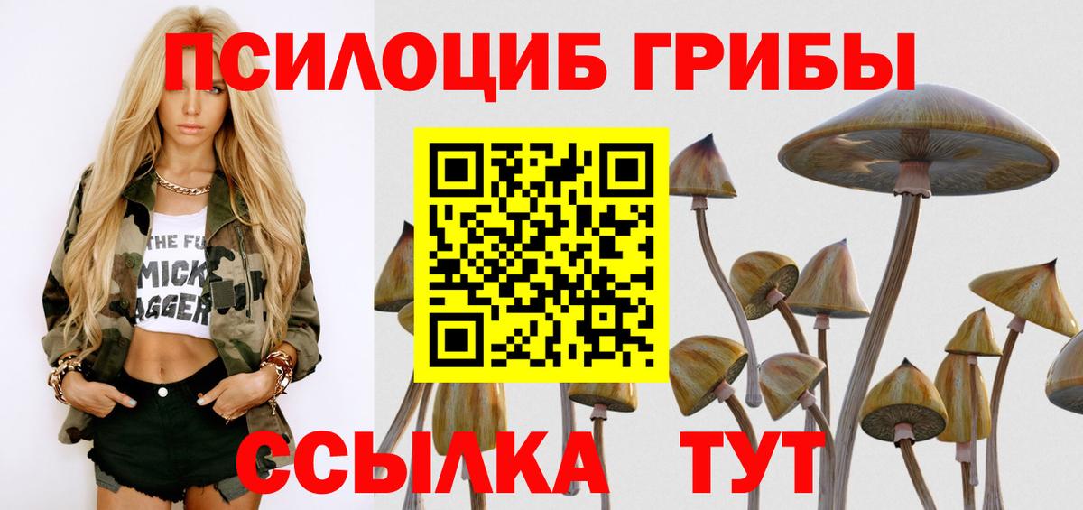 Миасс  Галлюциногенные грибы Psilocybine cubensis  цены   Вход с VPN 