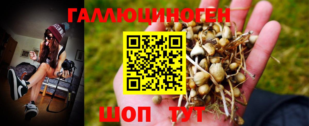 МЕТАДОН Миасс