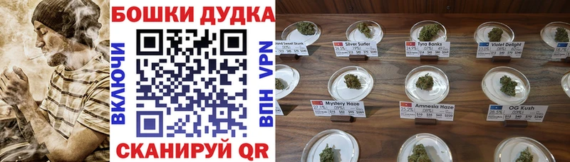 даркнет сайт Миасс Бошки марихуана SATIVA & INDICA